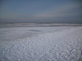 Spaziergang an der Nordsee (im Hintergrund der Hundestrand)